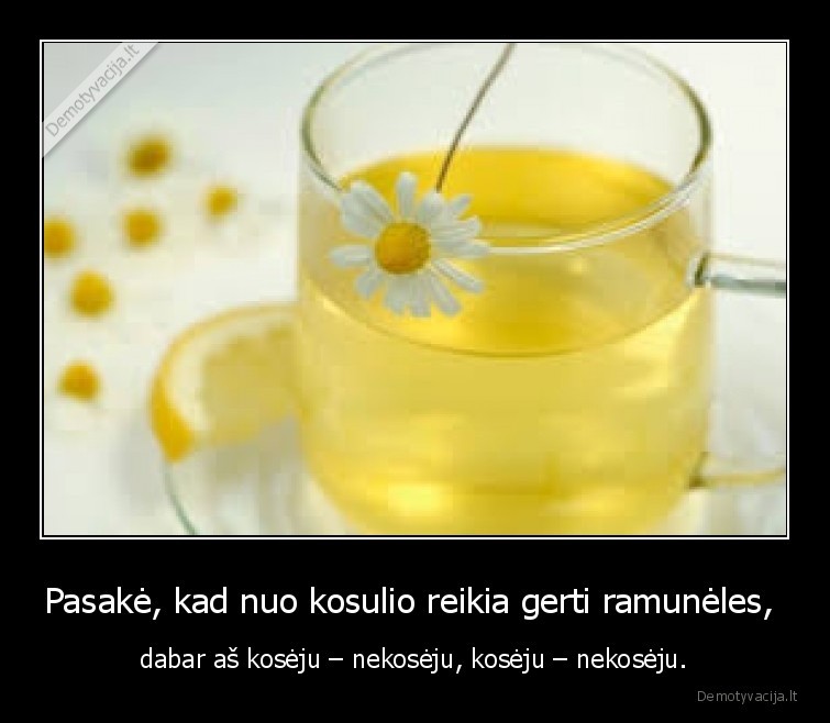 koseju,nekoseju,ramuneles,myli,nemyli