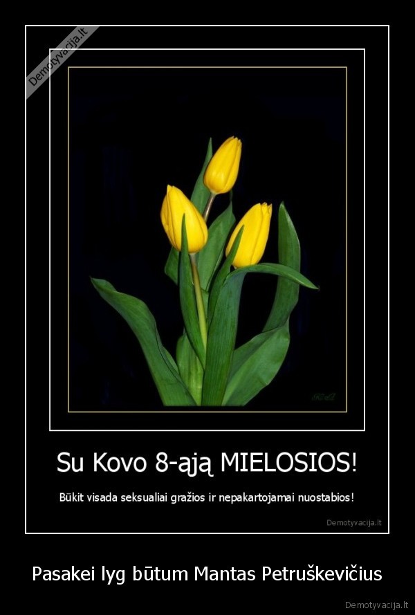 kovo8,mantas,apsimetelis