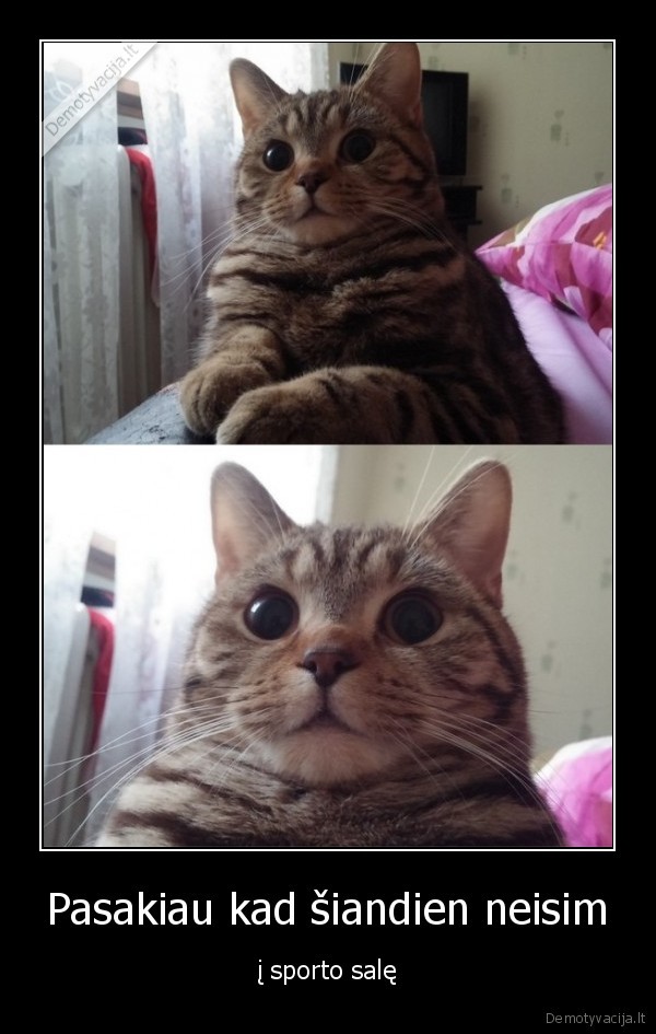 pupse,neisim,sportuot,nes,ir, taip, kieti,jegos, trikove,pritupimai,ipf