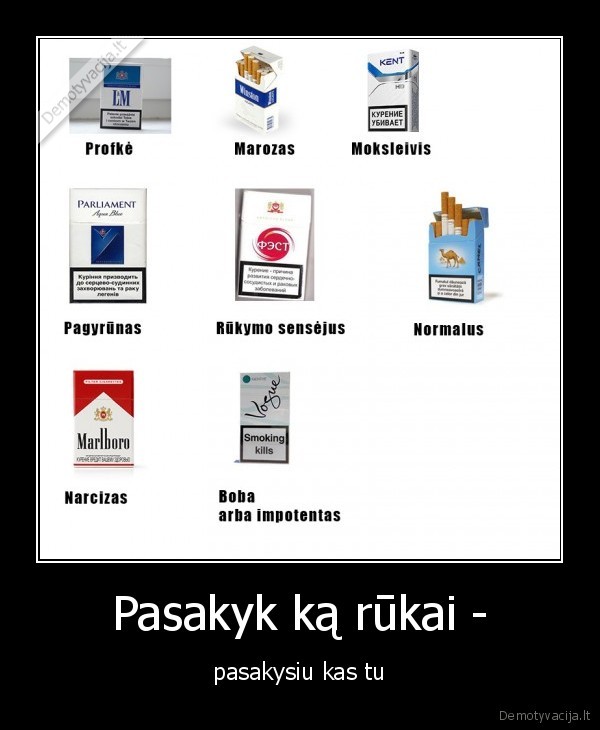 cigaretes,rukyti