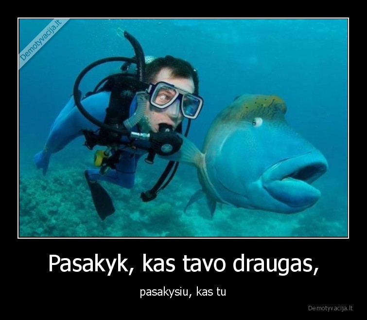 draugas,zuvis,naras