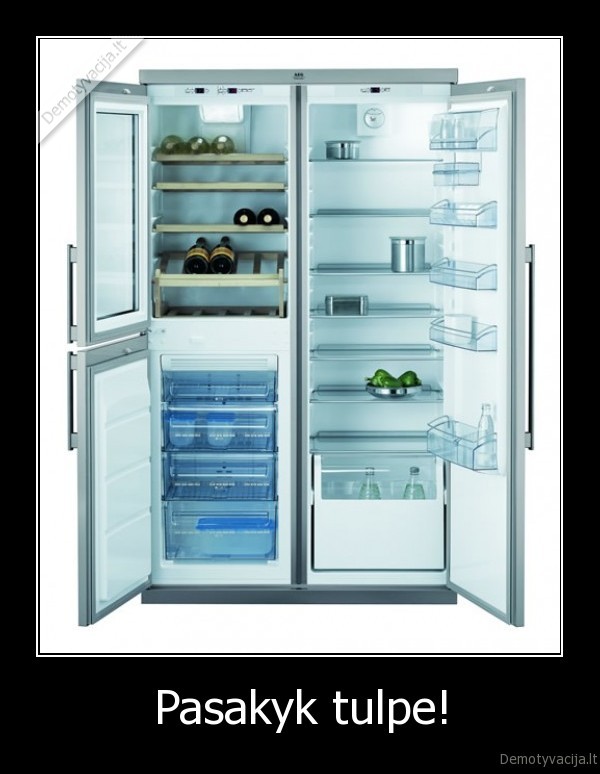 tulpe,tevas,saldytuvas