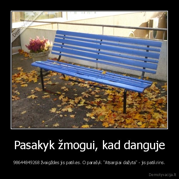 dangus,dazyta,suoliukas