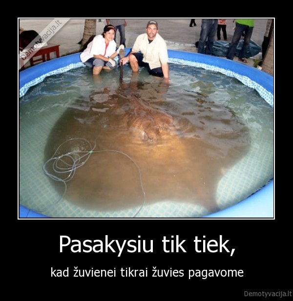 zuvis,zuviene,pagavome