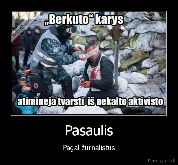 zurnalistai,berkut, kariai,maidanas