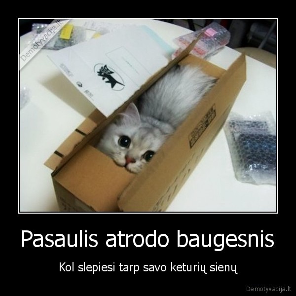 mastyk,ir,gyvenk,outside,the,box