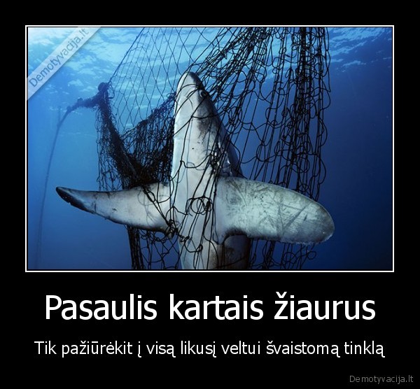 Pasaulis kartais žiaurus