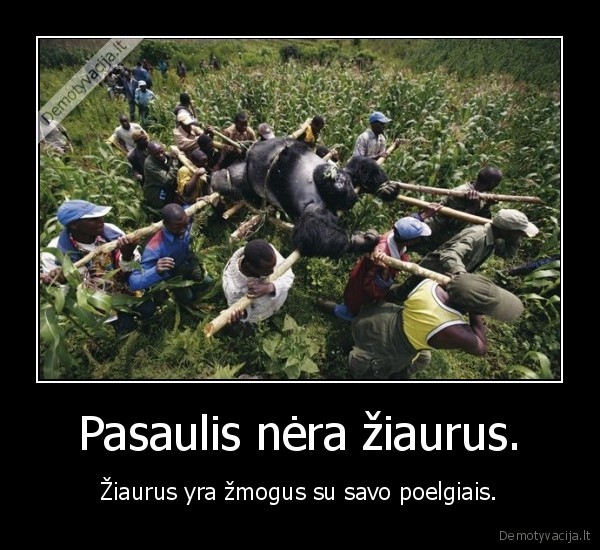 Pasaulis nėra žiaurus.