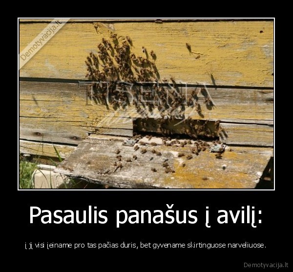 pasaulis,avilys