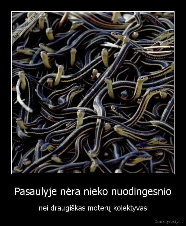 Pasaulyje nėra nieko nuodingesnio