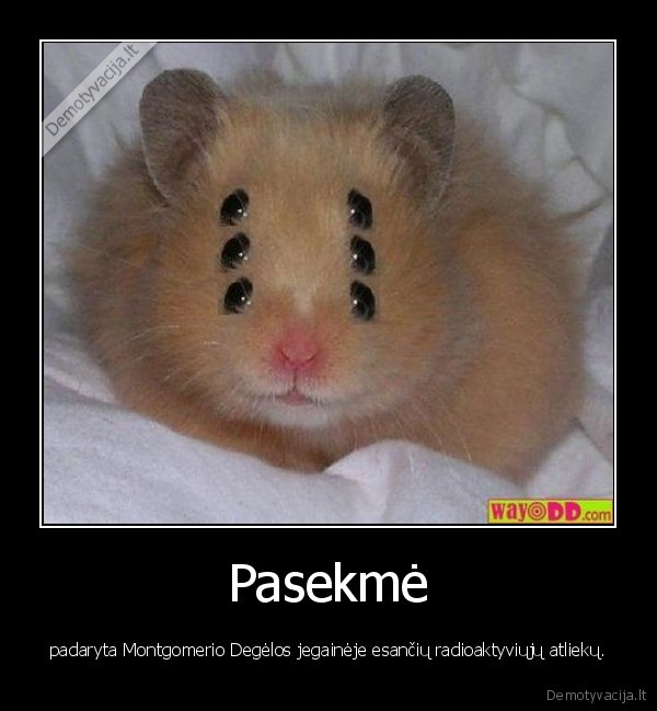 Pasekmė