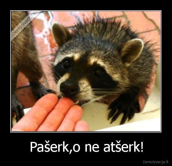 Pašerk,o ne atšerk!