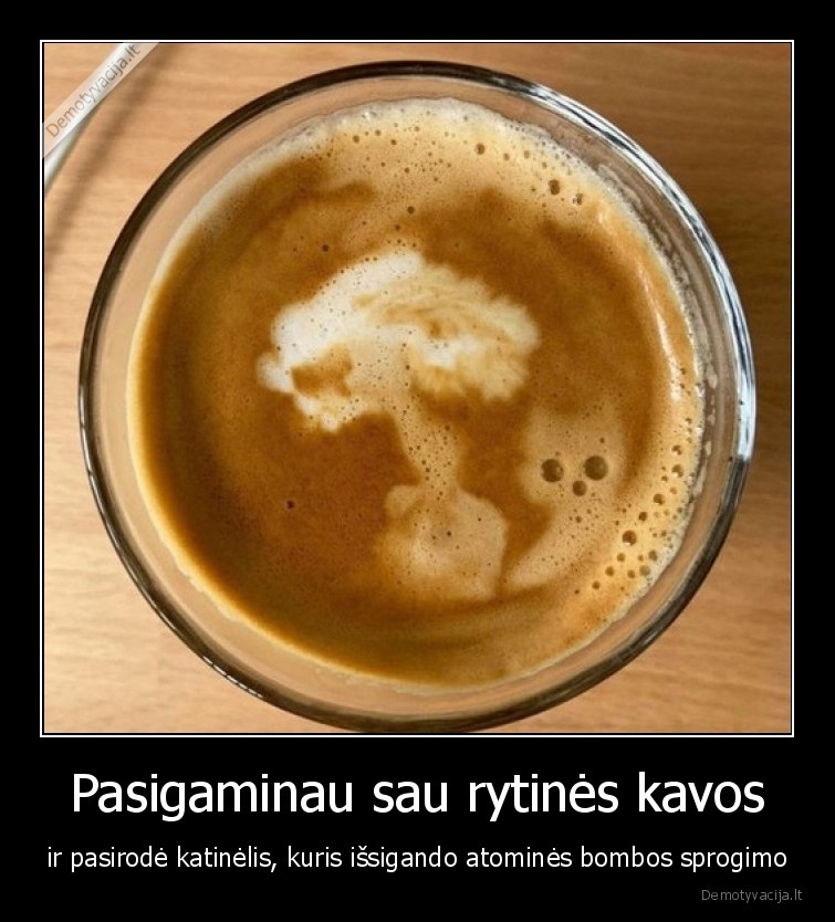kava,rytas,katinelis