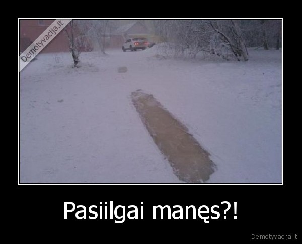 ledas,ciuozimas,ciuozykla