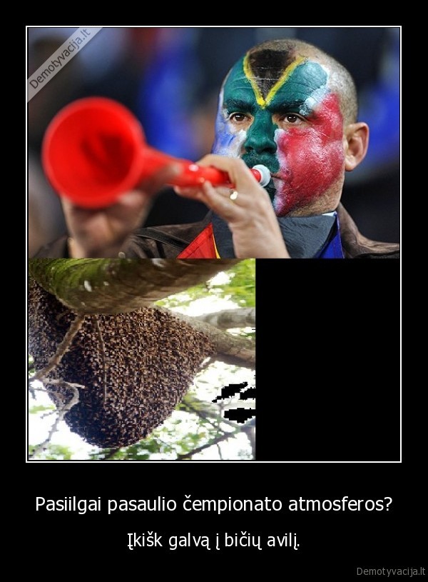 Pasiilgai pasaulio čempionato atmosferos?