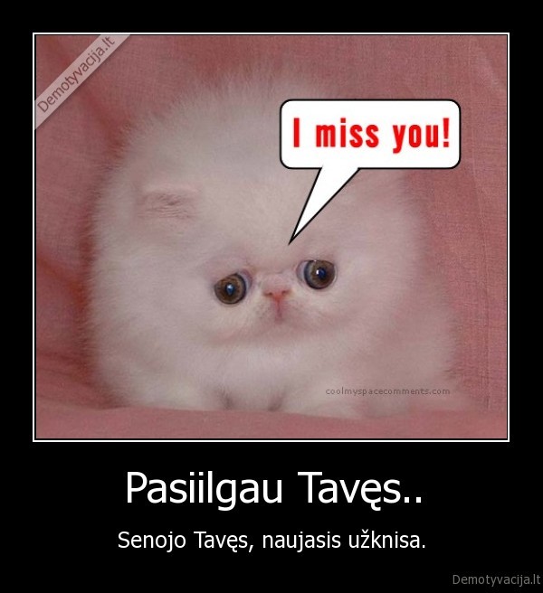 Pasiilgau Tavęs..