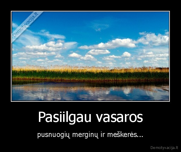 meskere,vasara,merginos