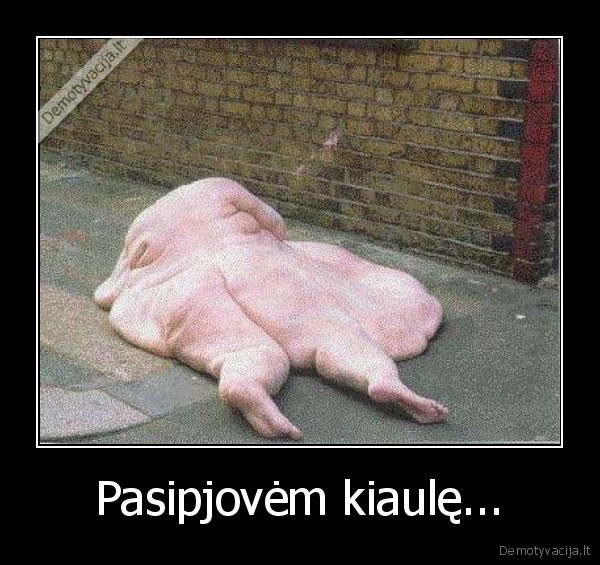 Pasipjovėm kiaulę...