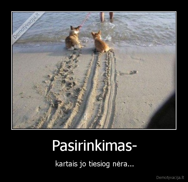 Pasirinkimas-