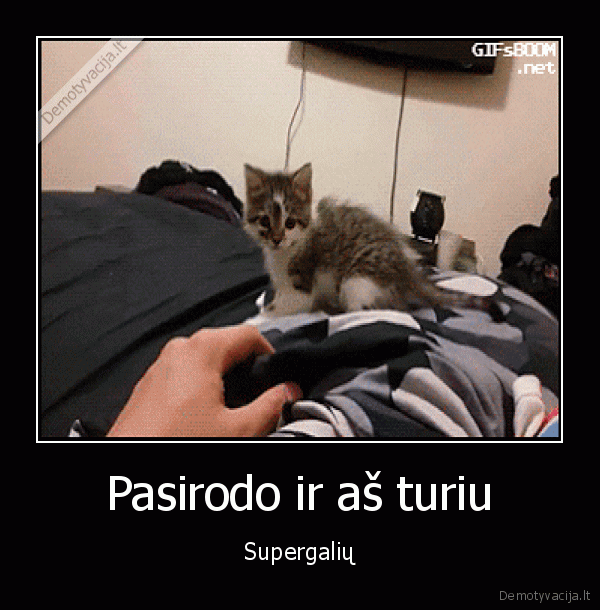 supergalios,katinas,nukrito