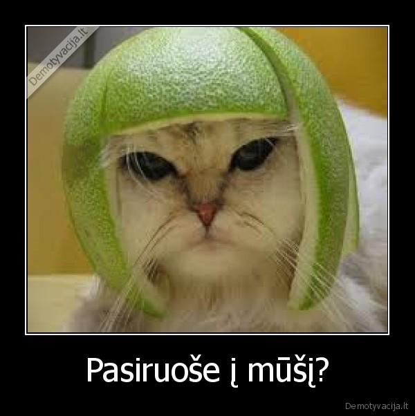 Pasiruoše į mūšį?