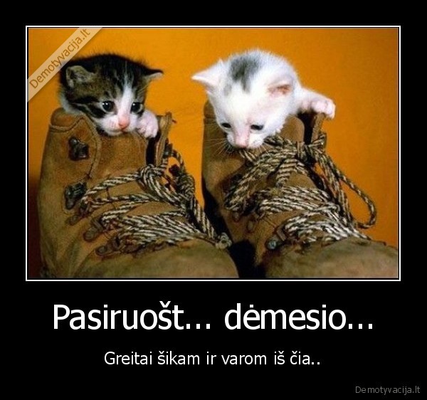 Pasiruošt... dėmesio...