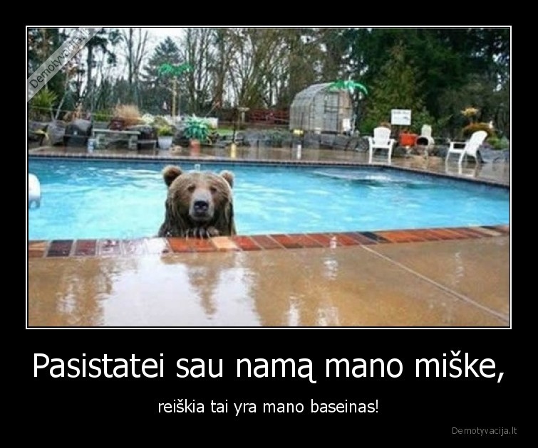 baseinas,miskas,meska,plaukioja