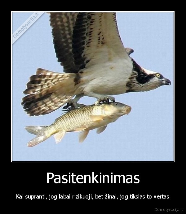 erelis,zuvis,skraidanti, zuvis