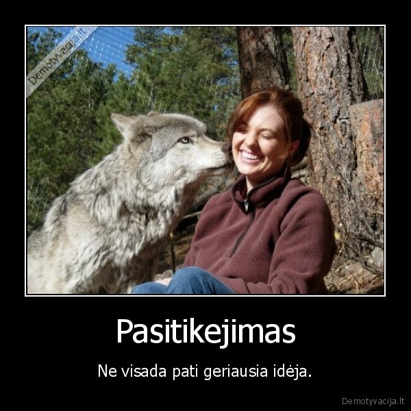 vilkas,pasitikejimas,ideja,geriausia