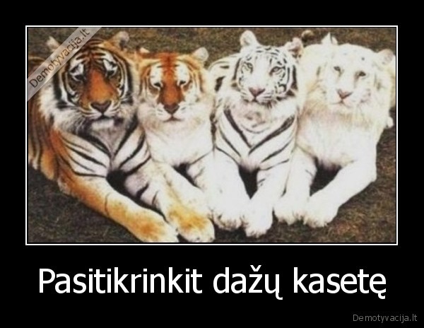 Pasitikrinkit dažų kasetę