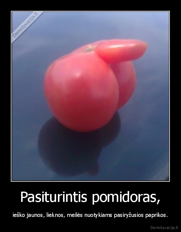 Pasiturintis pomidoras,