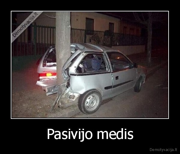 Pasivijo medis