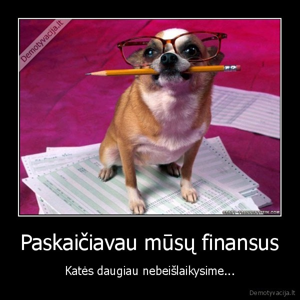 suo, matematikas,kates, islaikymas,suniukas