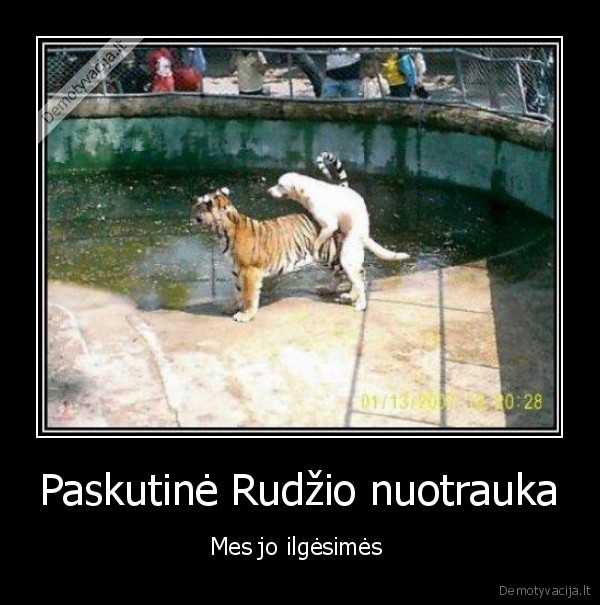 paskutinis,nuotrauka,rudis