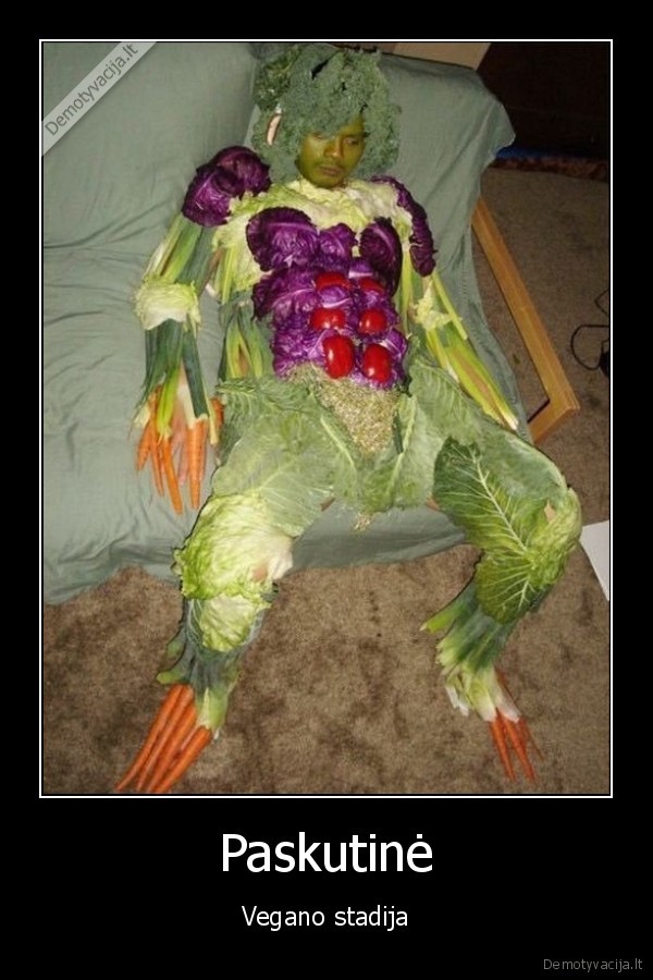 veganas,salotos,zaliavalgis