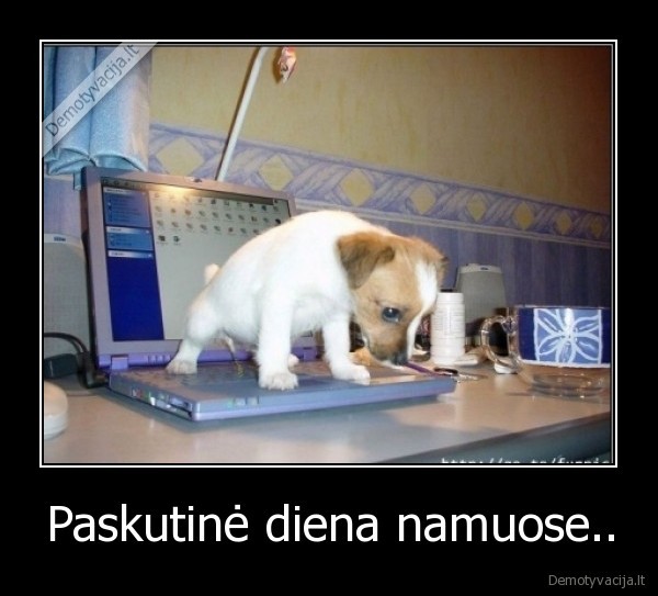 suo,namai,pc,laptop,diena,paskutine