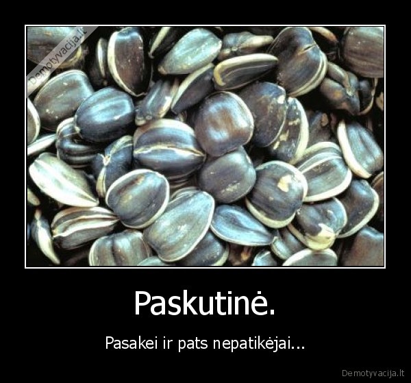 saulegrazos, lygios, narkotikamszsz, z, s, z, s, z, s, z, s, z, s, z, s