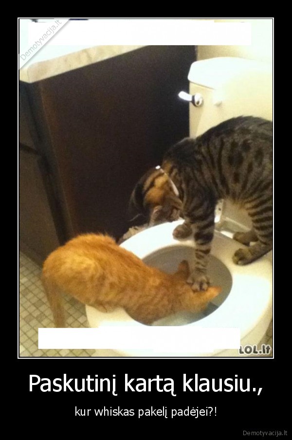 Paskutinį kartą klausiu.,