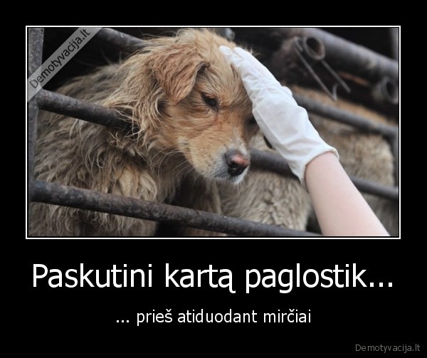 Paskutini kartą paglostik...