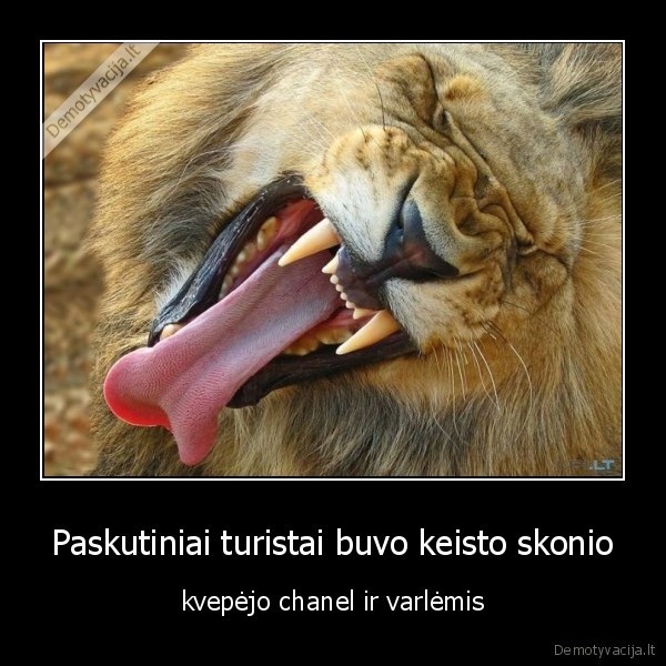 prancuzu,turistu,needa,liutai