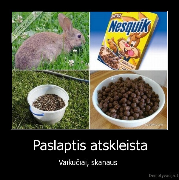 Paslaptis atskleista