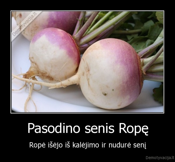 Pasodino senis Ropę