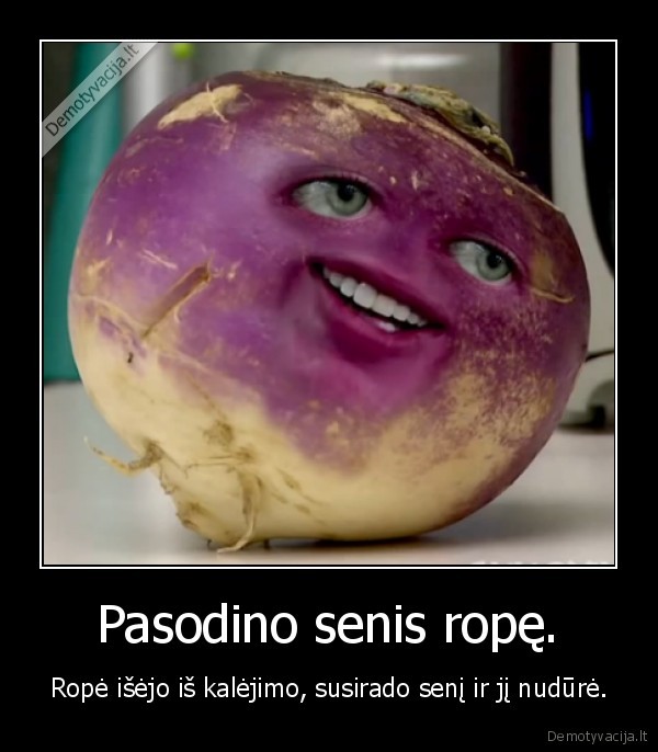 pasaka, apie, rope,bloga, rope