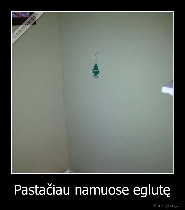 Pastačiau namuose eglutę