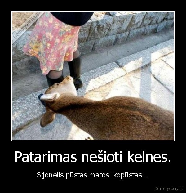 Patarimas nešioti kelnes.