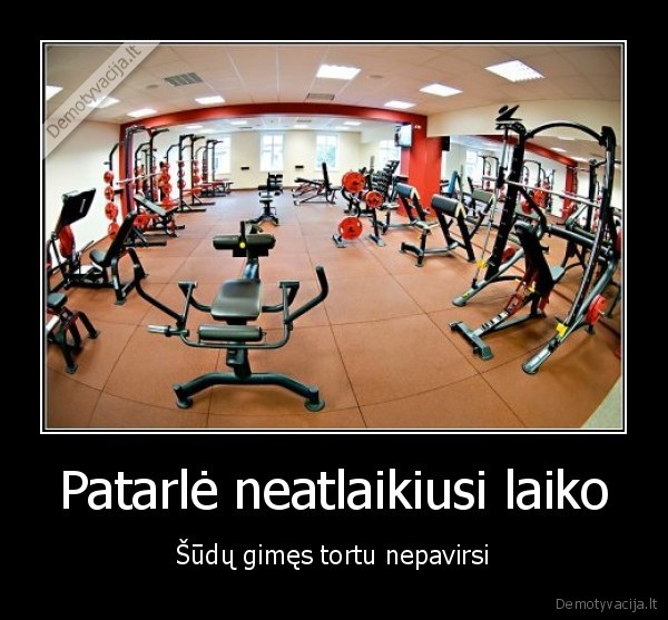 kaciokas, pana, digidigi