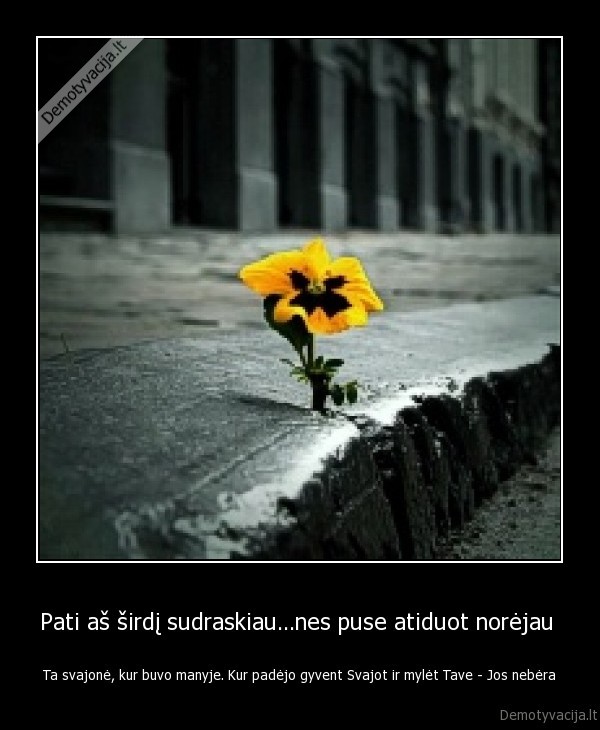 Pati aš širdį sudraskiau…nes puse atiduot norėjau 