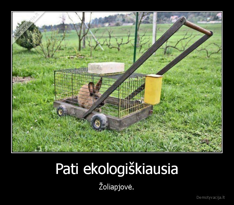 Pati ekologiškiausia