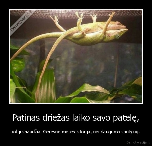 driezas, laiko, drieze,driezas, miega