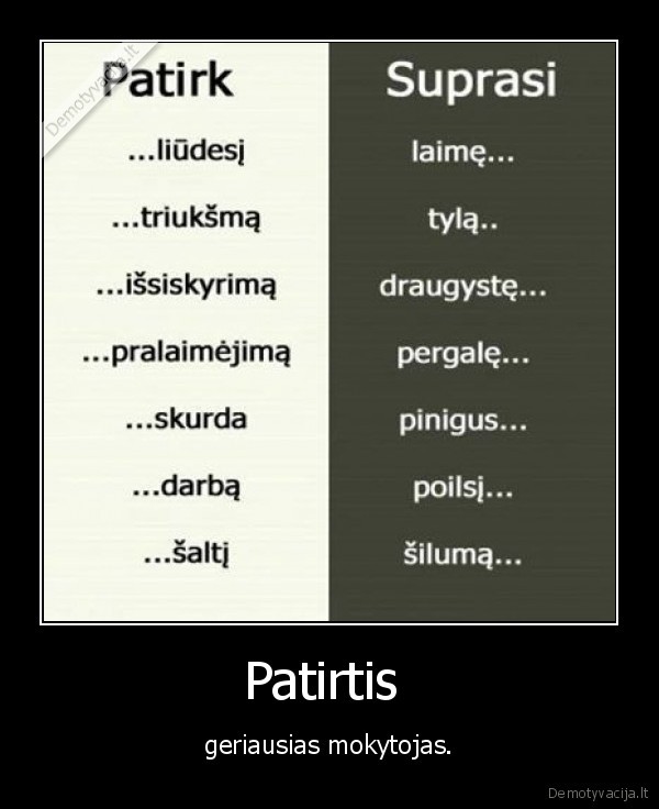 patirtis,geriausias,mokytojas